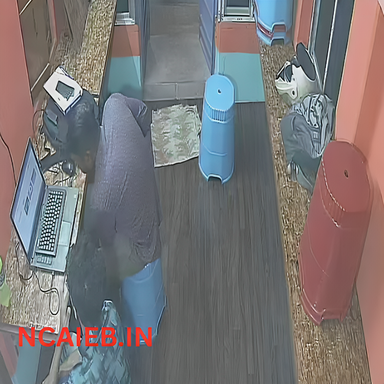 free computer institute franchise